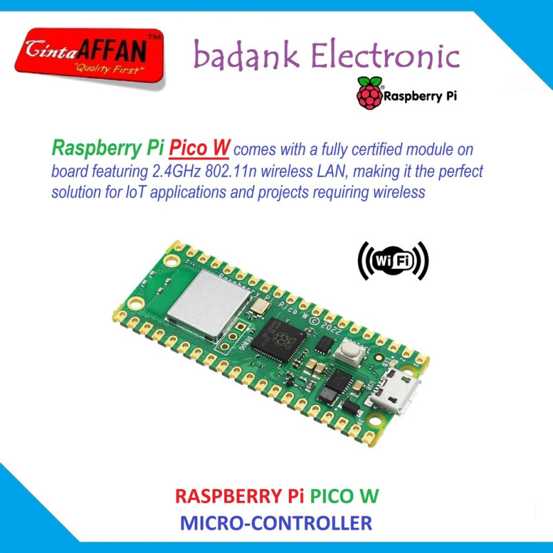 Raspberry Pi PICO W WIFI 2.4GHz 802.11n Wireless LAN
